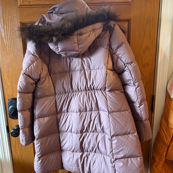 The North Face New Dealio Water Repellant 550 Fill Power Down Parka - Picture 3 of 8